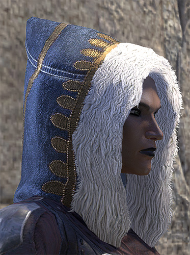 Colovian Filigreed Hood