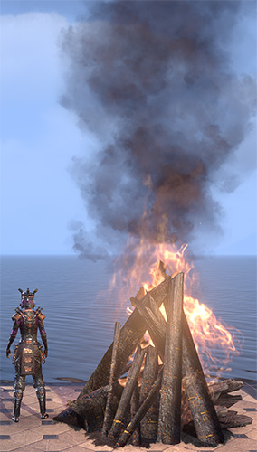 New Life Bonfire