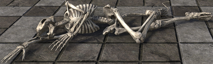 Corpse of Mayhem, Khajiit