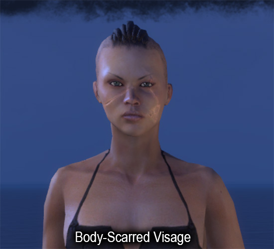 Battle-Scarred Visage Markings