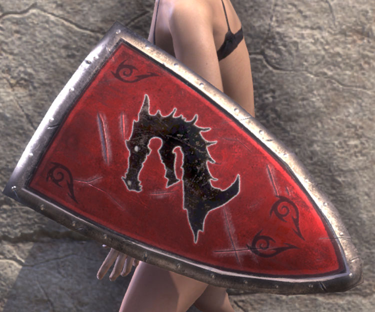 Pact Banner-Bearer Shield Style