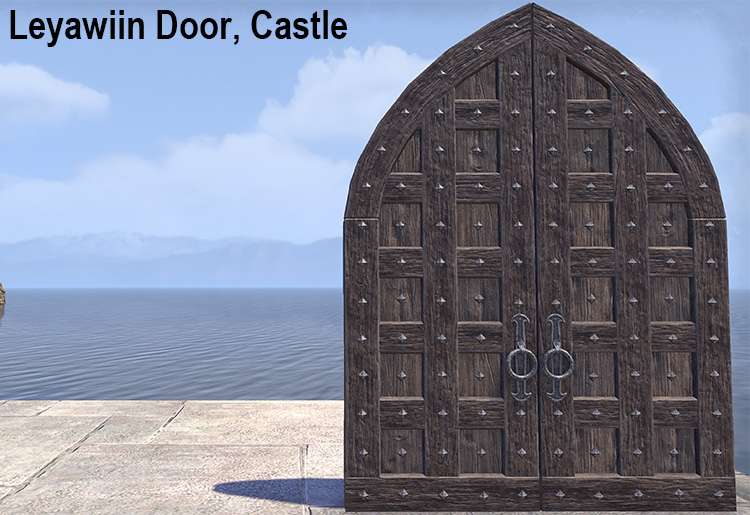 Leyawiin Door, Castle